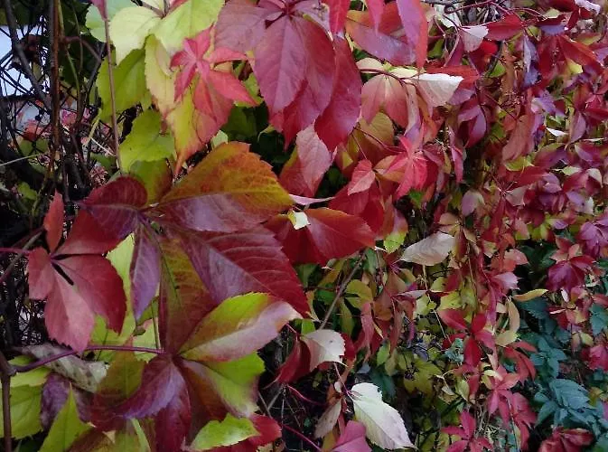 Kotka Housing-freeparking